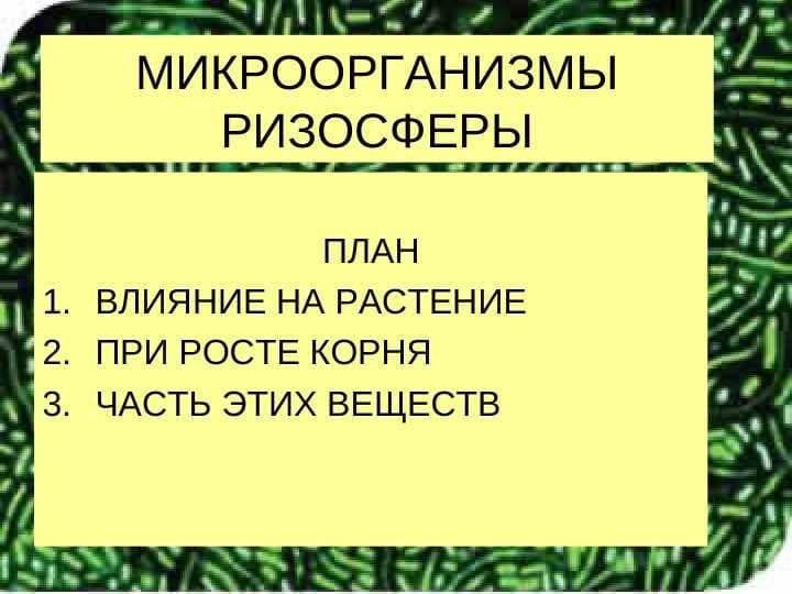 МИКРООРГАНИЗМЫ РИЗОСФЕРЫ
