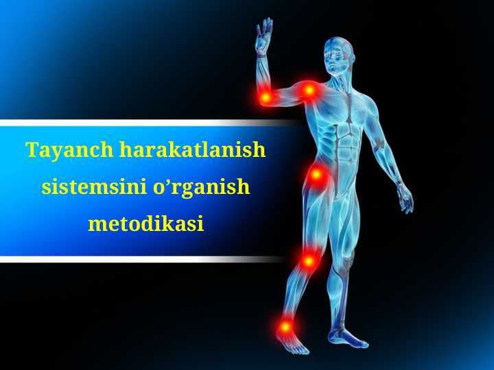Tayanch harakatlanish sistemsini o’rganish metodikasi