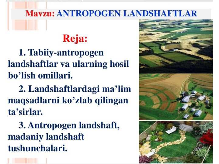 Antropogen landshaftlar