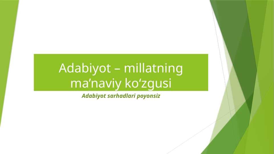 Adabiyot haqida
