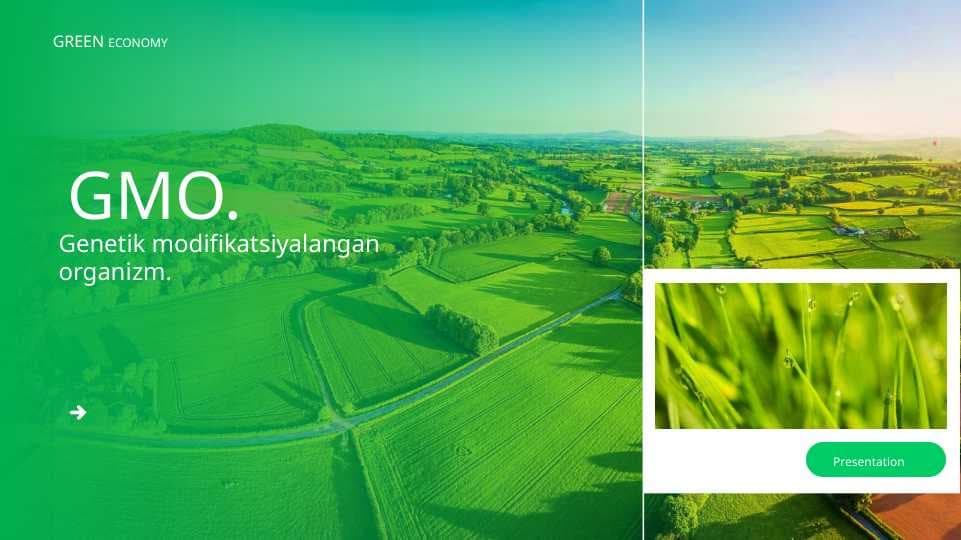Genetik modifikatsiyalangan organizm. GMO