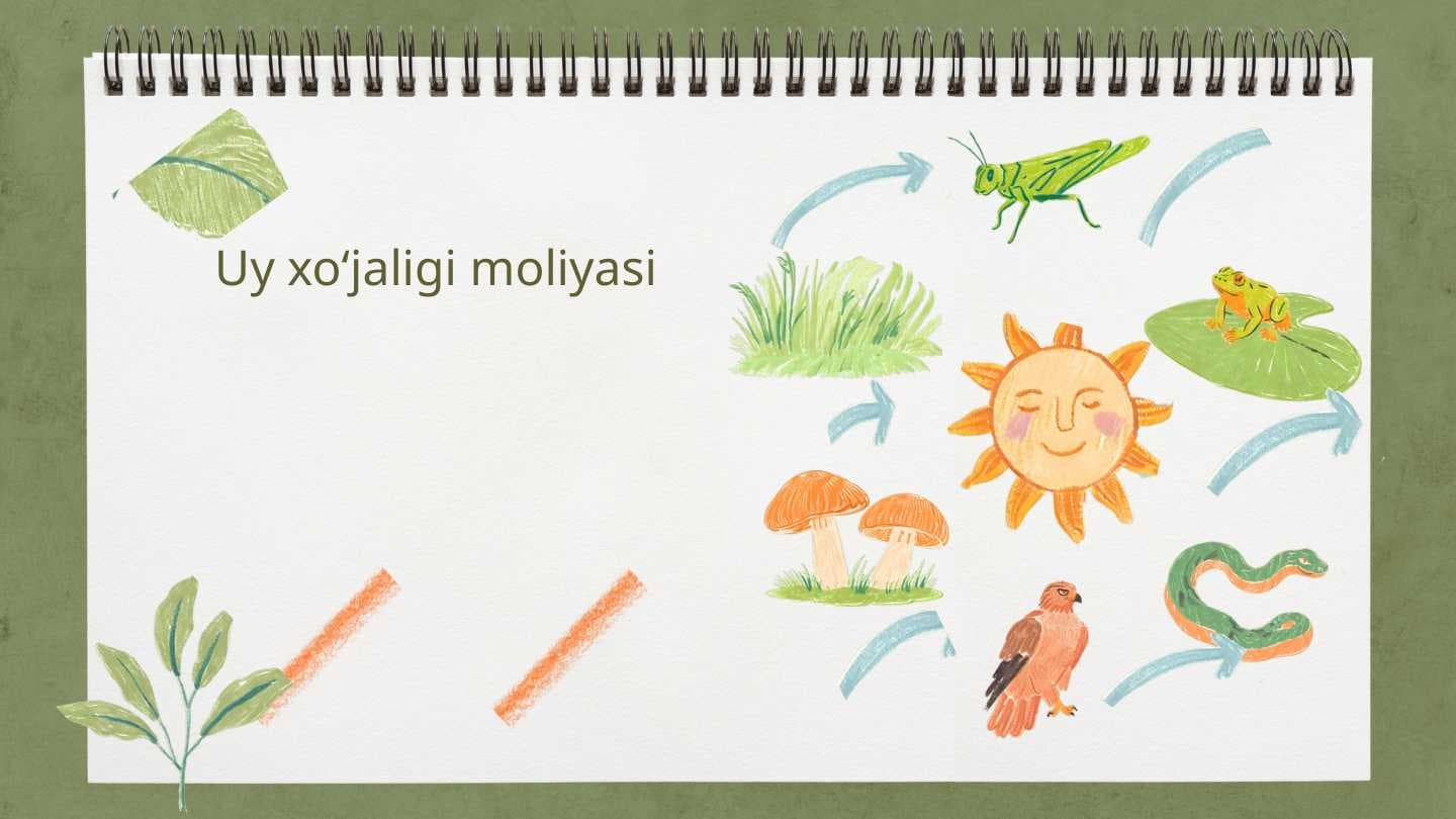 Uy xo‘jaligi moliyasi