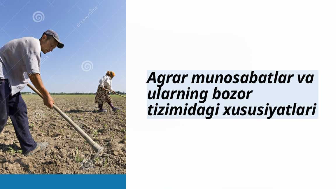 Agrar munosabatlar va ularning bozor tizimidagi xususiyatlari