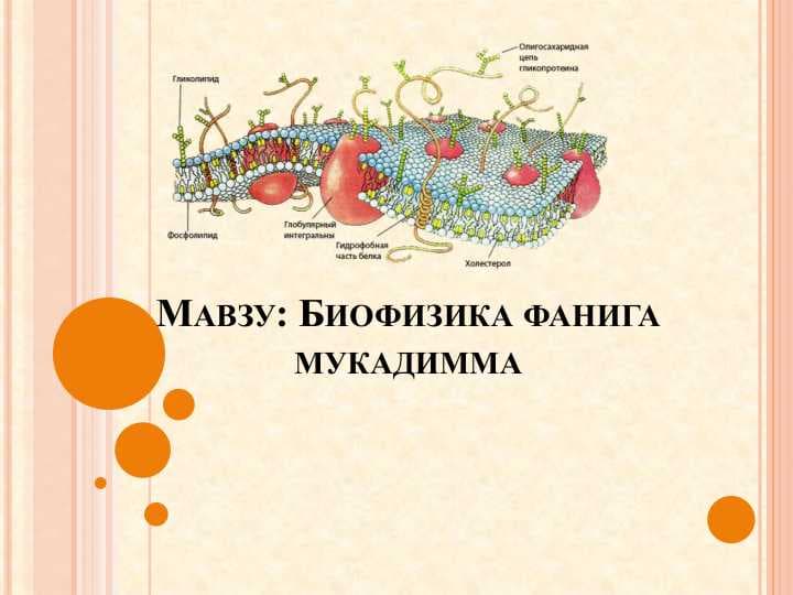 БИОФИЗИКА ФАНИГА МУКАДИММА