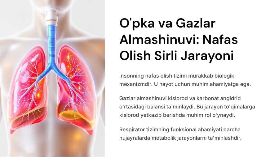 To`qimada gazlar almashinuvi.Nafasni boshqarilishi.