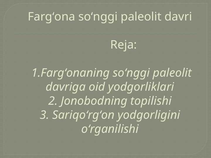 Fargʻona soʻnggi paleolit davri