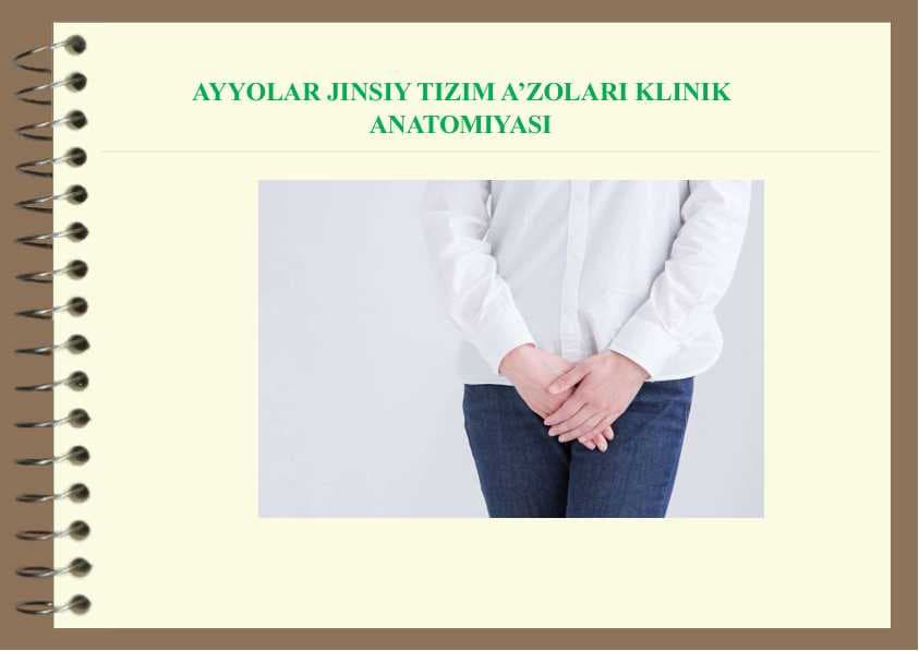 AYYOLAR JINSIY TIZIM A’ZOLARI KLINIK ANATOMIYASI