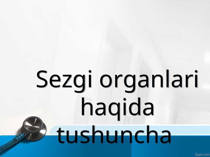 Sezgi organlari haqida tushuncha