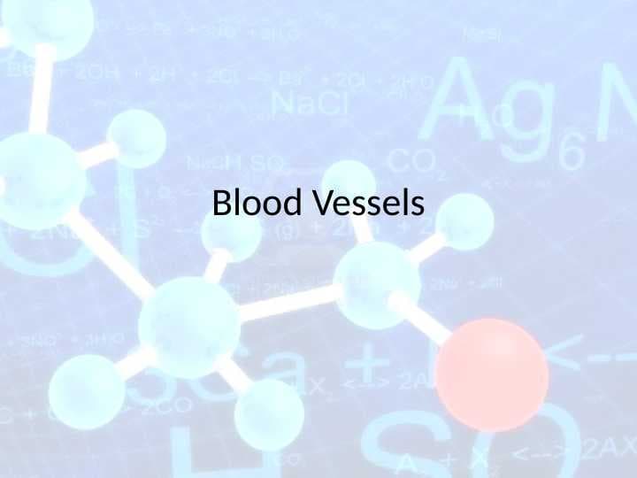 Blood Vessels