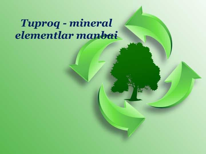 Tuproq - mineral elementlar manbai