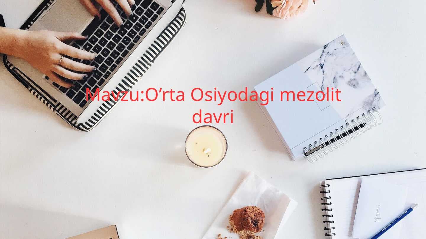 O’rta Osiyodagi mezolit davri