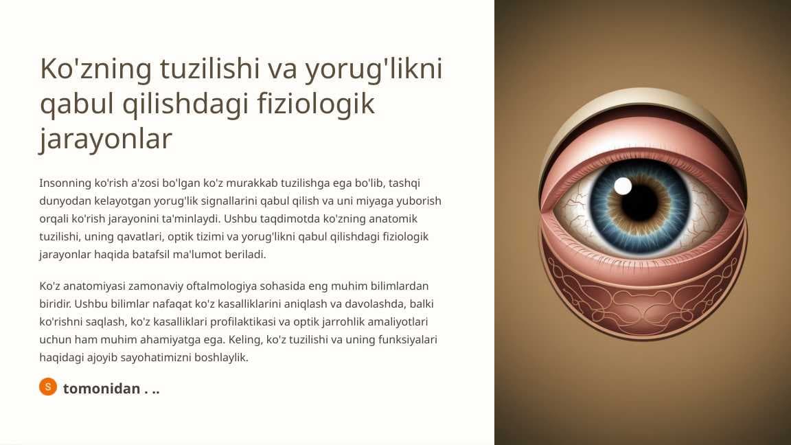 Ko'zning tuzilishi va yorug'likni qabul qilishdagi fiziologik jarayonlar