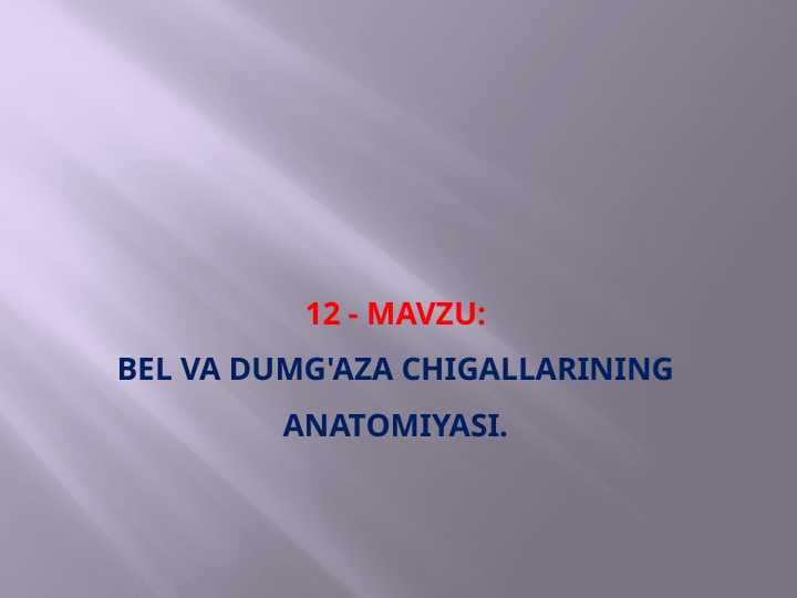 Bel va dumg'aza chigallarining anatomiyasi.