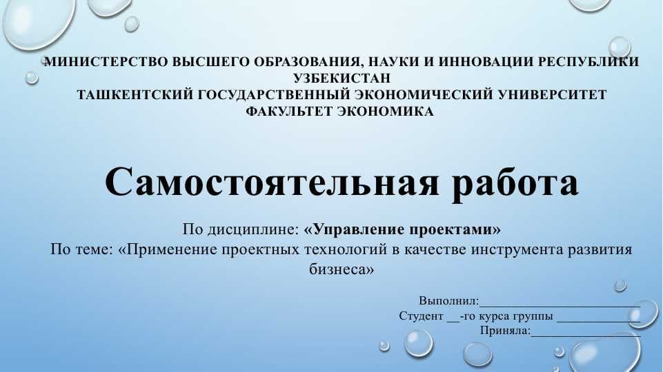 Применение проектных технологий в качестве инструмента развития бизнеса