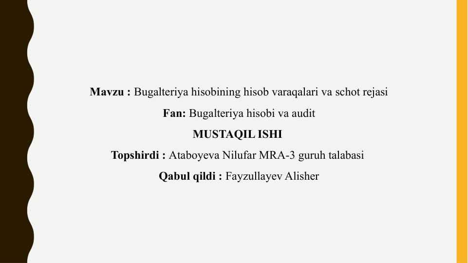 Bugalteriya hisobining hisob varaqalari va schot rejasi