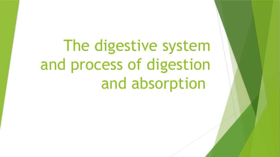 The digestive system and process of digestion and absorption