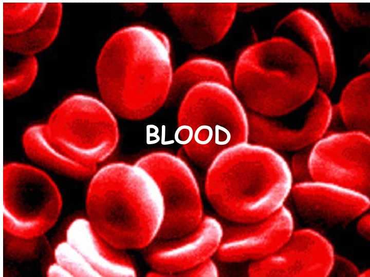 BLOOD