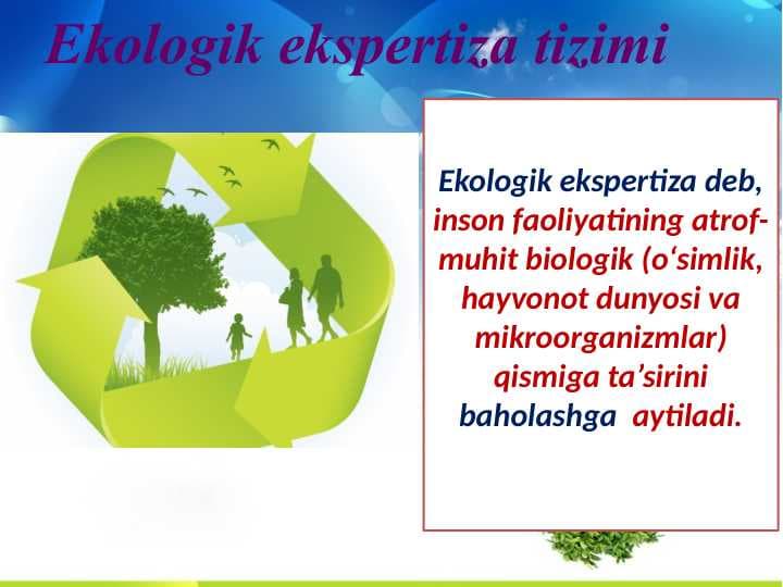 Ekologik ekspertiza tizimi