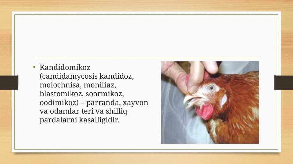 Kandidomikoz (candidamycosis kandidoz, molochnisa, moniliaz, blastomikoz, soormikoz, oodimikoz) – parranda, xayvon va odamlar teri va shilliq pardalarni kasalligidir.
