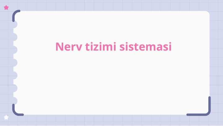 Nerv tizimi sistemasi