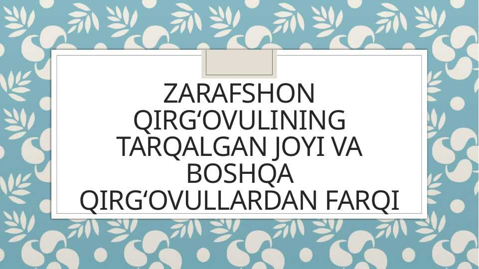 Zarafshon qirgʻovulining tarqalgan joyi va boshqa qirgʻovullardan farqi