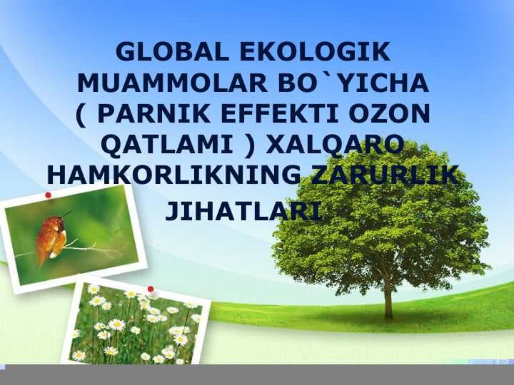 GLOBAL EKOLOGIK MUAMMOLAR BO'YICHA ( PARNIK EFFEKTI OZON QATLAMI ) XALQARO HAMKORLIKNING ZARURLIK JIHATLARI