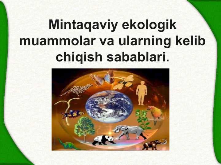 Mintaqaviy ekologik muammolar va ularning kelib chiqish sabablari