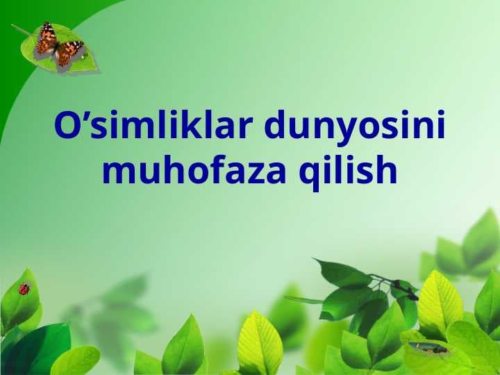 O’simliklar dunyosini muhofaza qilish (2)