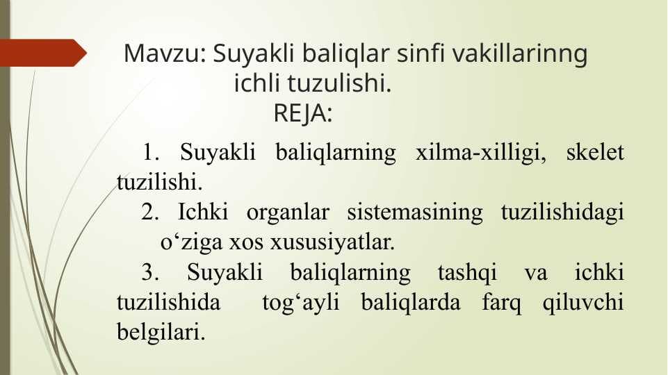 Suyakli baliqlar sinfi vakillarinng ichli tuzulishi