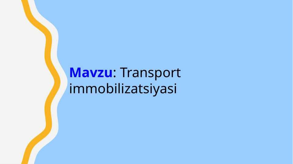 Transport immobilizatsiyasi