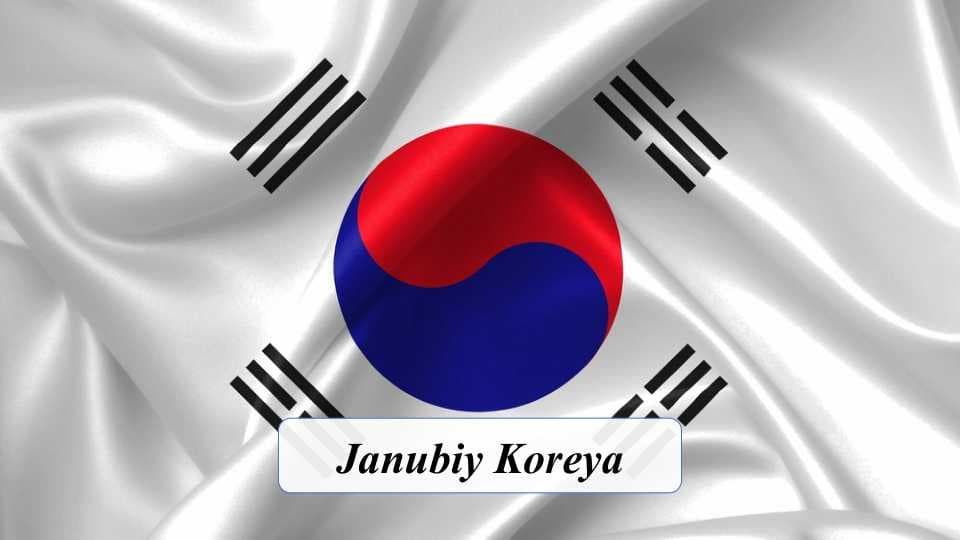Janubiy Koreya YMM tarkibi