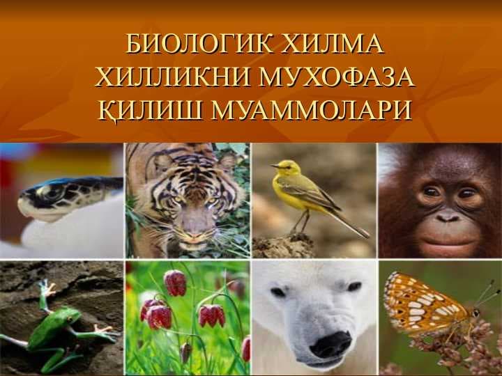 БИОЛОГИК ХИЛМА ХИЛЛИКНИ МУХОФАЗА ҚИЛИШ МУАММОЛАРИБИОЛОГИК ХИЛМА ХИЛЛИКНИ МУХОФАЗА ҚИЛИШ МУАММОЛАРИ