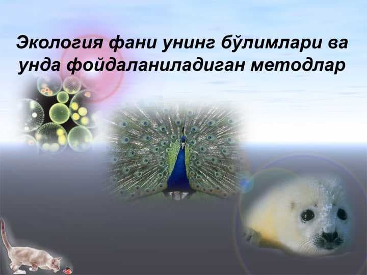 Экология фани унинг бўлимлари ва унда фойдаланиладиган методлар
