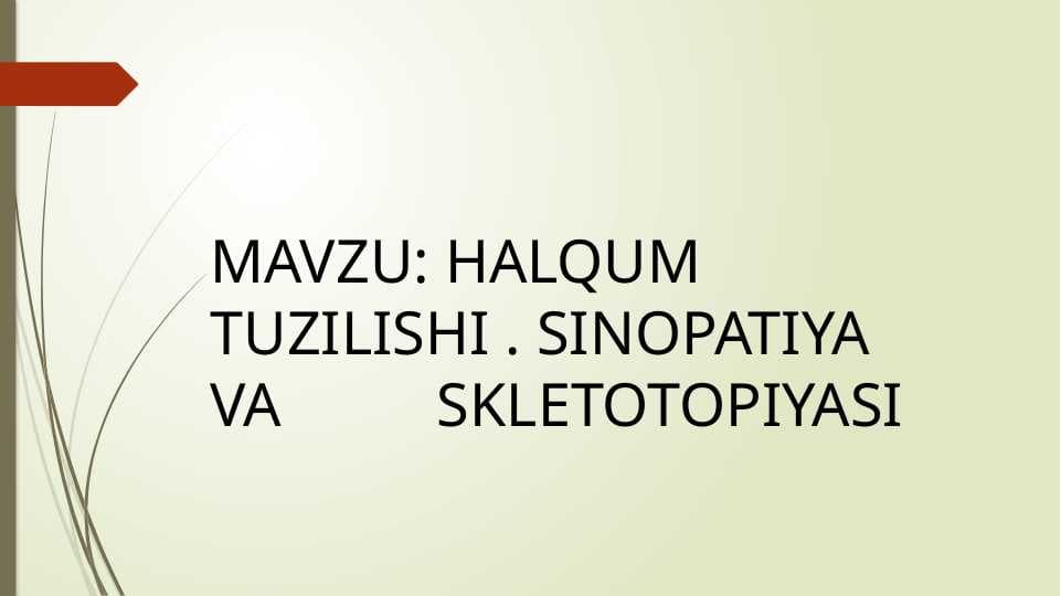 HALQUM TUZILISHI . SINOPATIYA VA SKLETOTOPIYASI