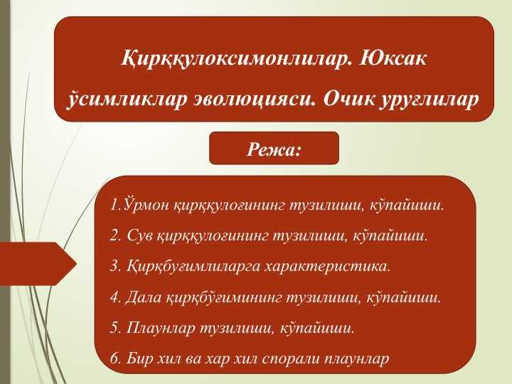 Қирққулоксимонлилар. Юксак ўсимликлар эволюцияси. Очик уруғлилар