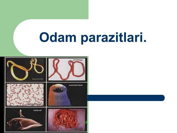 Odam parazitlari.