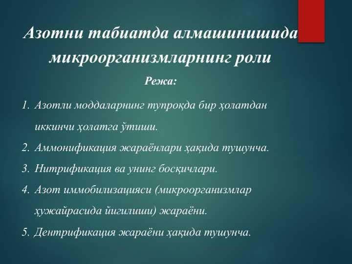 Азотни табиатда алмашинишида микроорганизмларнинг роли (2)
