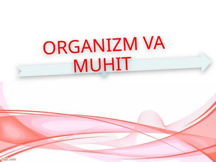 ORGANIZM VA MUHIT