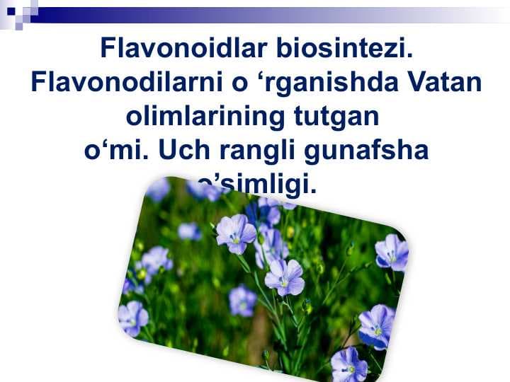 Flavonoidlar biosintezi. Flavonodilarni o ‘rganishda Vatan olimlarining tutgan o‘mi. Uch rangli gunafsha o’simligi.