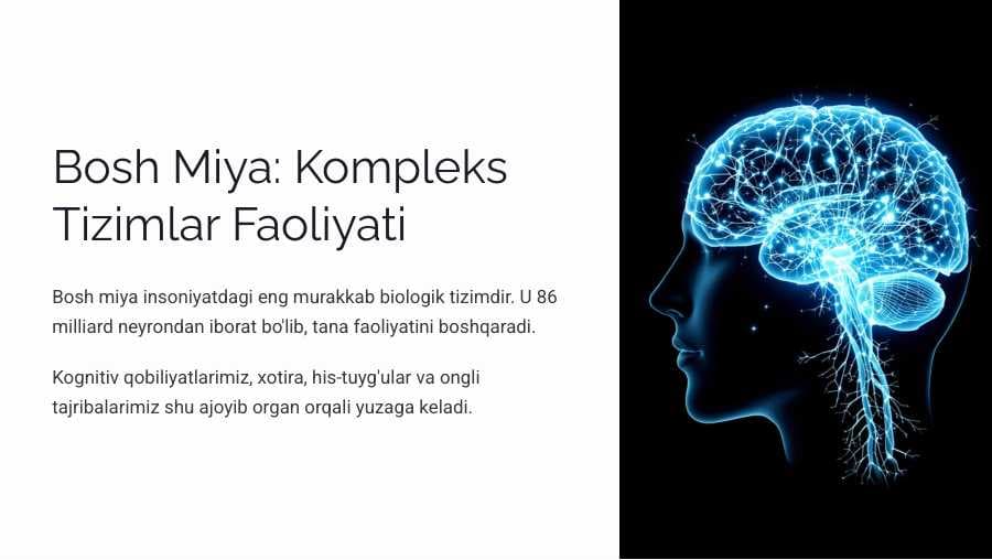 Bosh miya turli bo`limlari faoliyatini o`rganish. Bosh miya yarim sharlar po`stlog`ining fiziologiyasi.  Bazal yadrolar oraliq miya va miyacha fiziologiyasi.