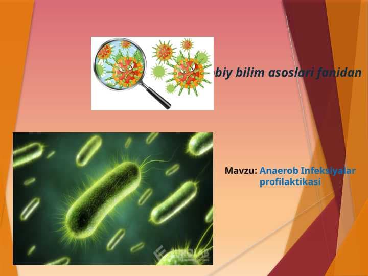 Anaerob Infeksiyalar profilaktikasi