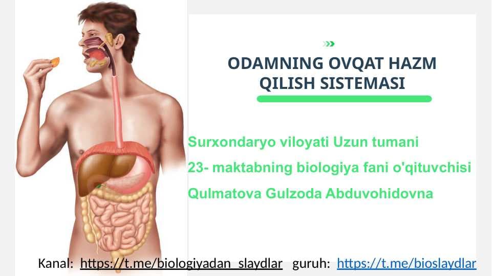 ODAMNING OVQAT HAZM QILISH SISTEMASI