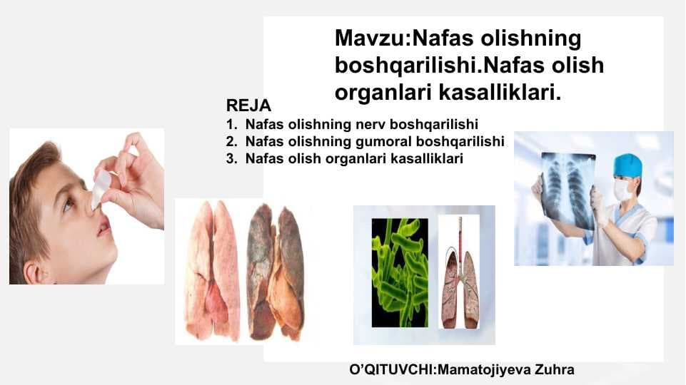 Nafas olishning boshqarilishi.Nafas olish organlari kasalliklari