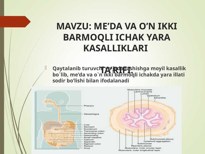 ME’DA VA O’N IKKI BARMOQLI ICHAK YARA KASALLIKLARI