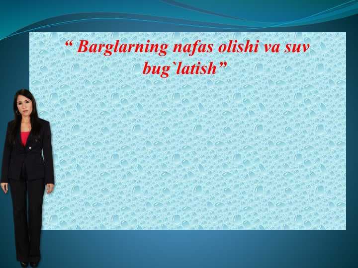 Barglarning nafas olishi va suv bug`latish”