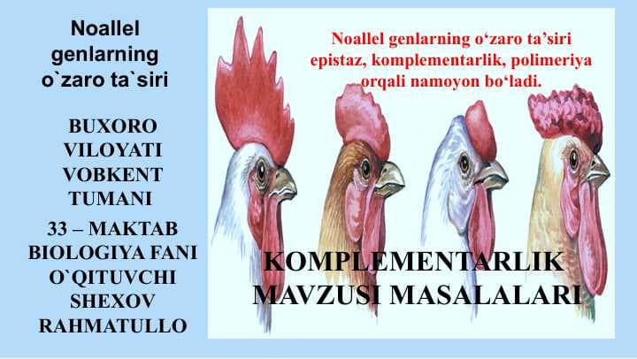Noallel genlarning o`zaro ta`siri