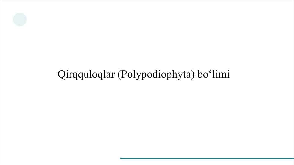 Qirqquloqlar (Polypodiophyta) bo‘limi           QIRQQULOQLAR SLAYD
