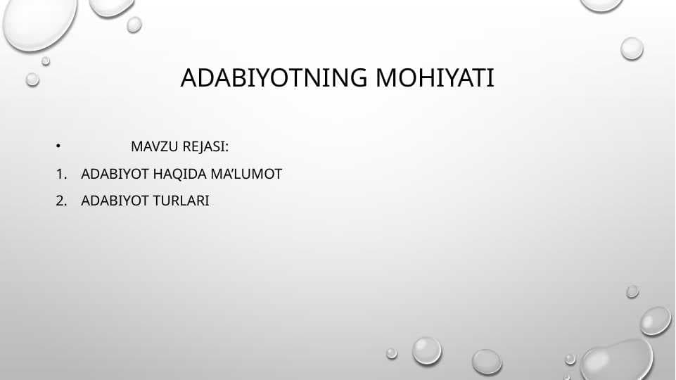Adabiyotning mohiyati
