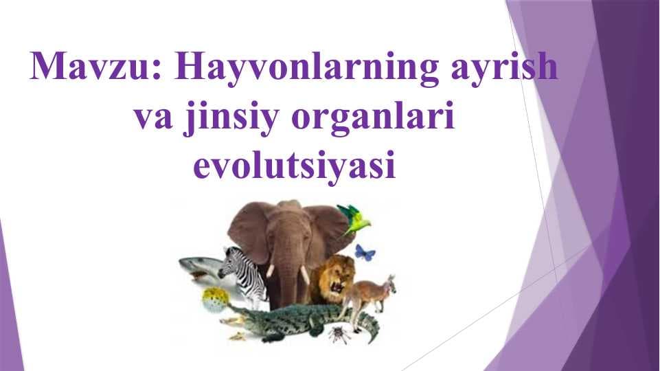 Hayvonlarning ayrish va jinsiy organlari evolutsiyasi