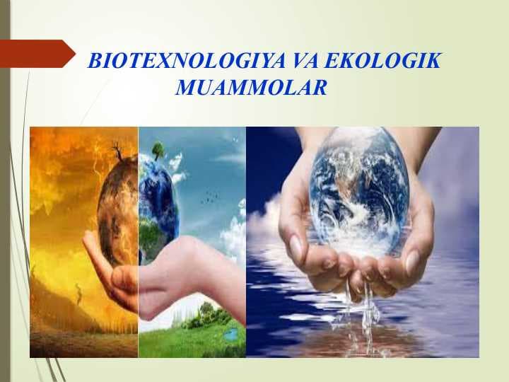 BIOTEXNOLOGIYA VA EKOLOGIK MUAMMOLAR